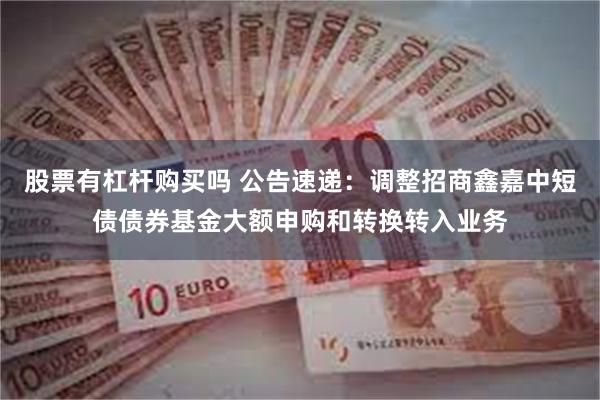 股票有杠杆购买吗 公告速递：调整招商鑫嘉中短债债券基金大额申购和转换转入业务