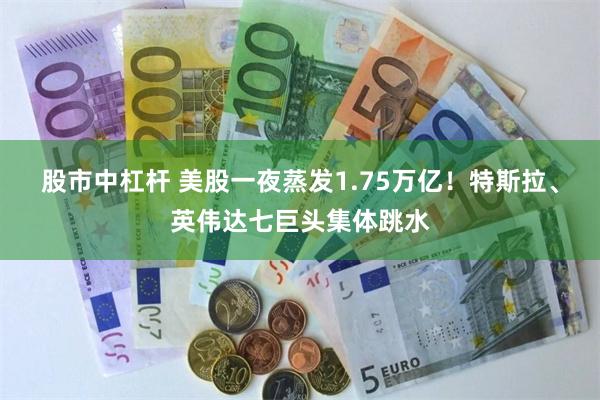 股市中杠杆 美股一夜蒸发1.75万亿！特斯拉、英伟达七巨头集体跳水