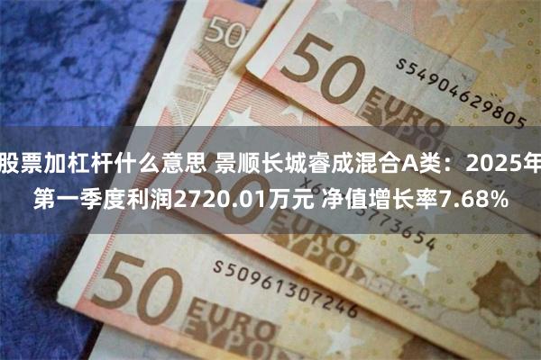 股票加杠杆什么意思 景顺长城睿成混合A类：2025年第一季度利润2720.01万元 净值增长率7.68%
