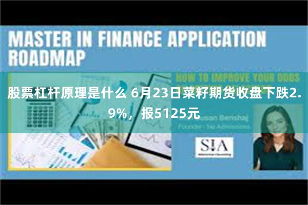 股票杠杆原理是什么 6月23日菜籽期货收盘下跌2.9%，报5125元