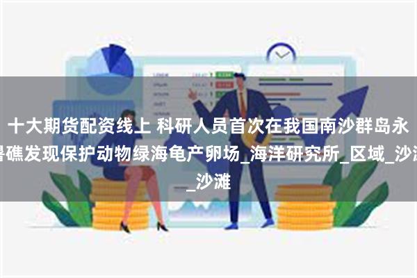 十大期货配资线上 科研人员首次在我国南沙群岛永暑礁发现保护动物绿海龟产卵场_海洋研究所_区域_沙滩