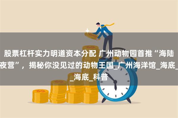 股票杠杆实力明道资本分配 广州动物园首推“海陆空一夜营”，揭秘你没见过的动物王国_广州海洋馆_海底_科普