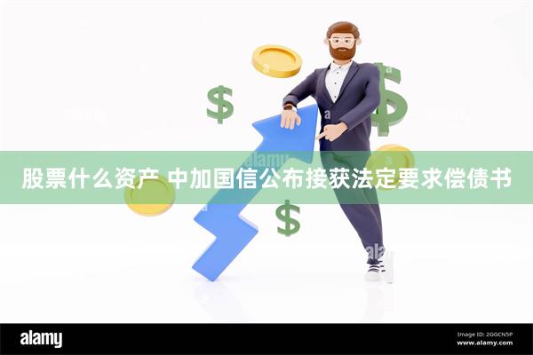 股票什么资产 中加国信公布接获法定要求偿债书