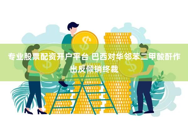 专业股票配资开户平台 巴西对华邻苯二甲酸酐作出反倾销终裁