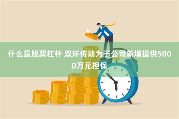 什么是股票杠杆 双环传动为子公司新增提供5000万元担保